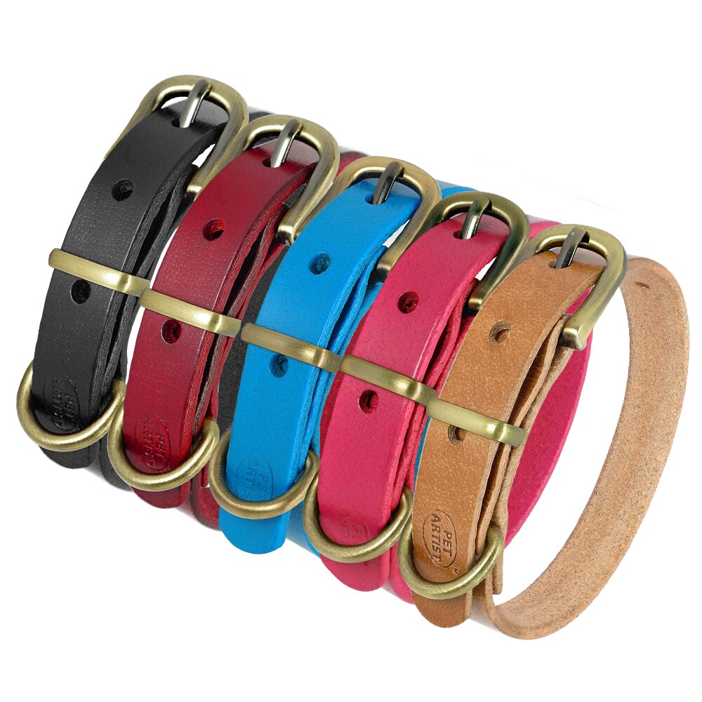 Collier en cuir simple pour chiens de petite et moyenne taille