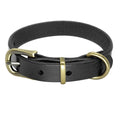 Collier en cuir simple pour chiens de petite et moyenne taille