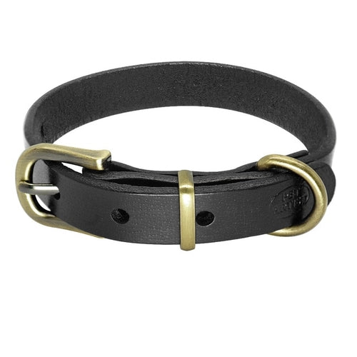 Collier en cuir simple pour chiens de petite et moyenne taille