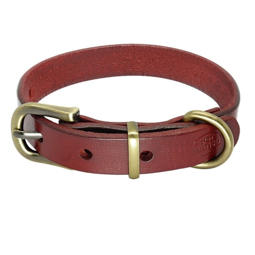 Collier en cuir simple pour chiens de petite et moyenne taille