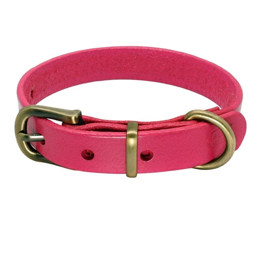 Collier en cuir simple pour chiens de petite et moyenne taille