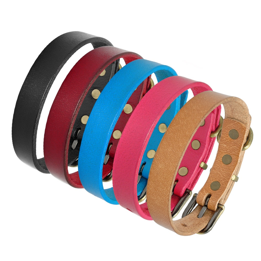 Collier en cuir simple pour chiens de petite et moyenne taille