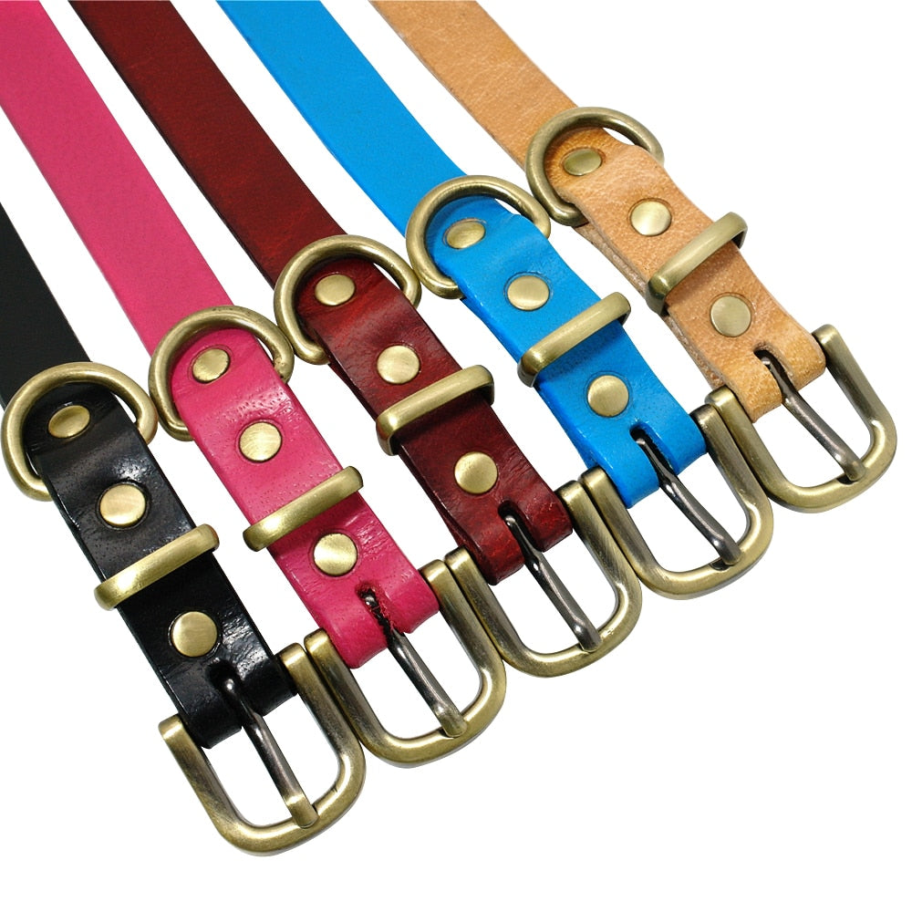 Collier en cuir simple pour chiens de petite et moyenne taille