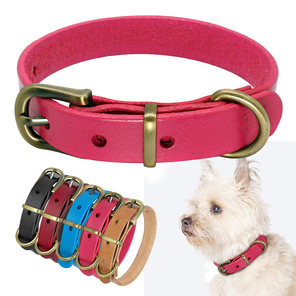 Collier en cuir simple pour chiens de petite et moyenne taille