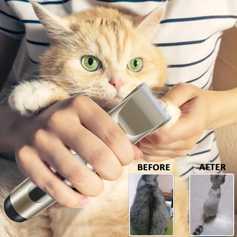 Tondeuse professionnelle pour chats et chiens, tout en métal, rechargeable.