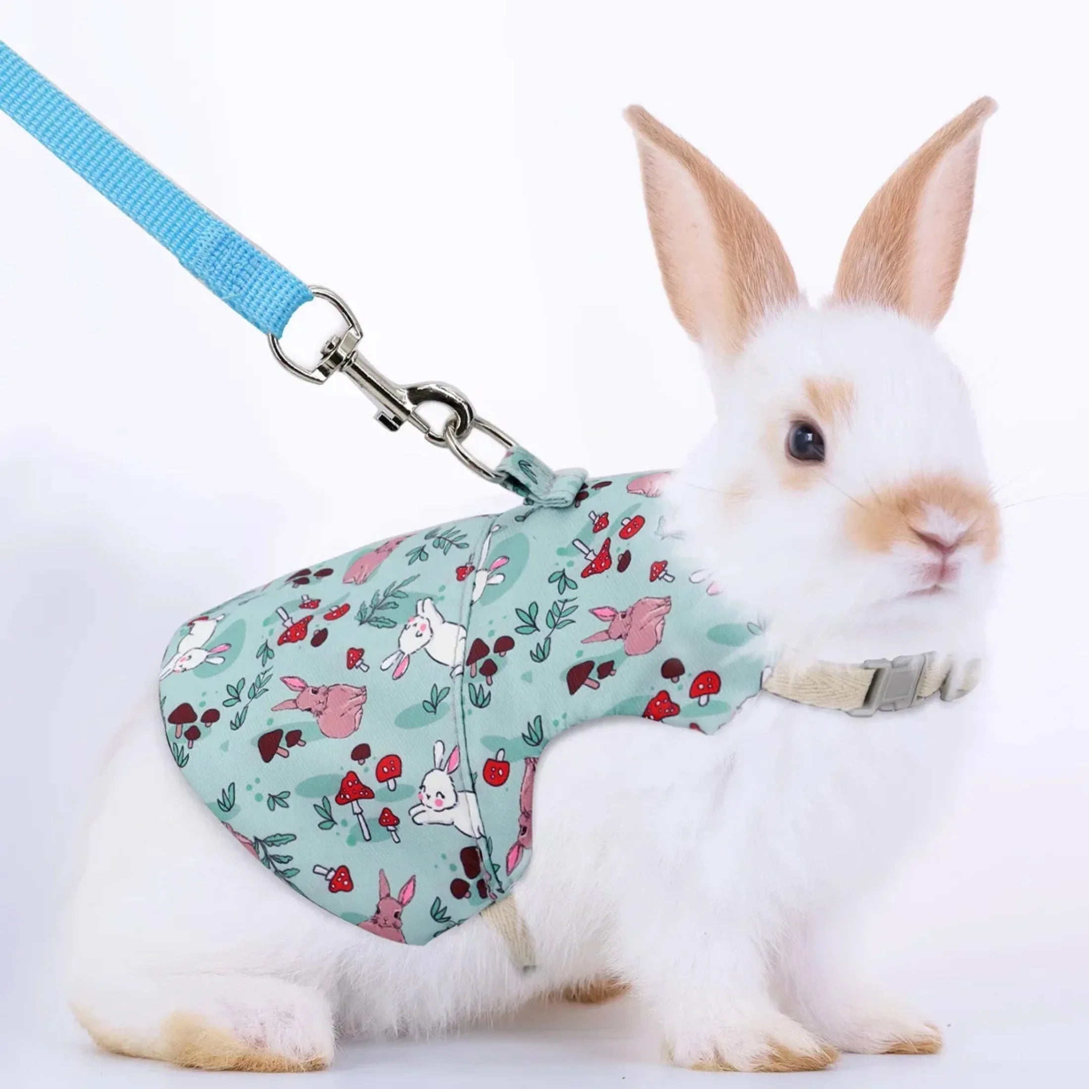 Harnais et Laisse Ajustables pour Lapin, Chat et Furets