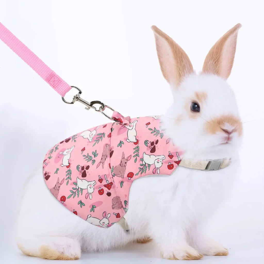 Harnais et Laisse Ajustables pour Lapin, Chat et Furets