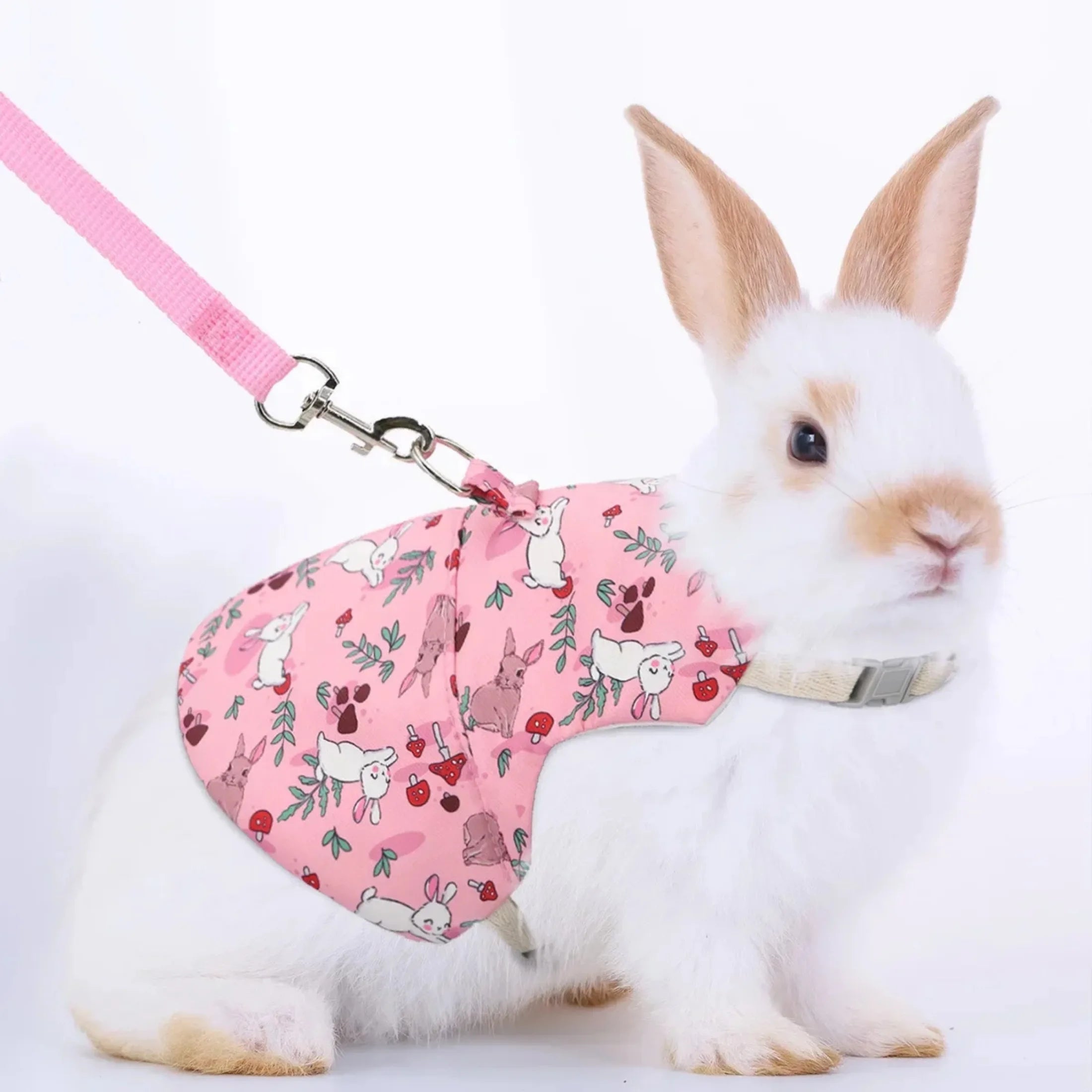 Harnais et Laisse Ajustables pour Lapin, Chat et Furets