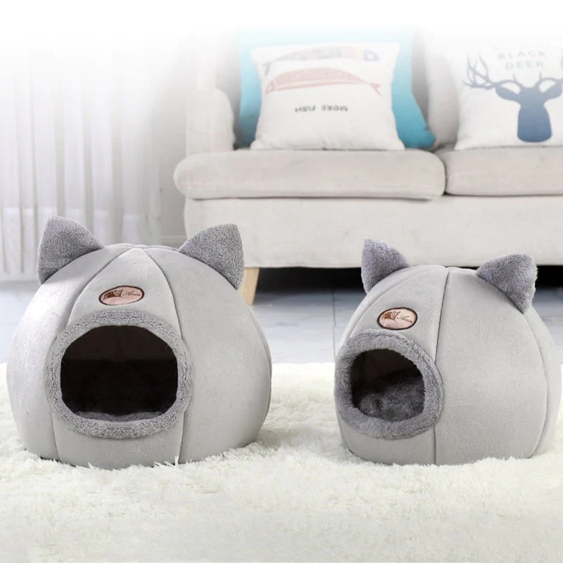 Lit Animal 2-en-1 Cozy