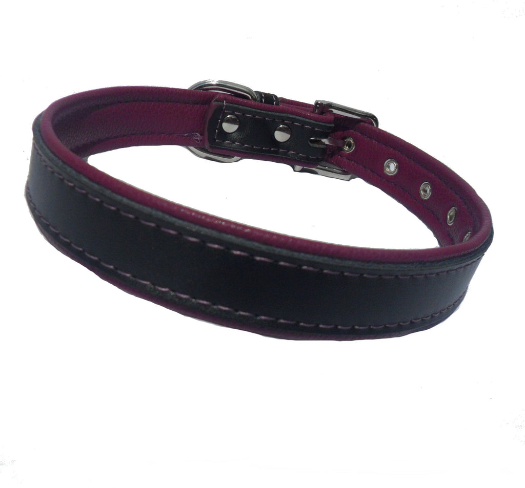 Collier pour Chien Berry