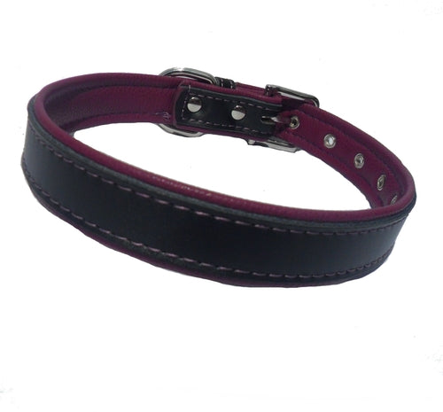 Collier pour Chien Berry