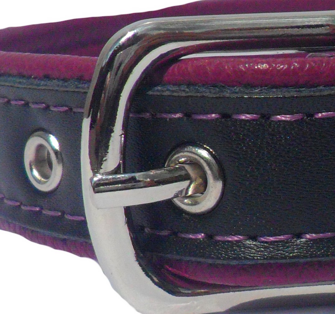 Collier pour Chien Berry