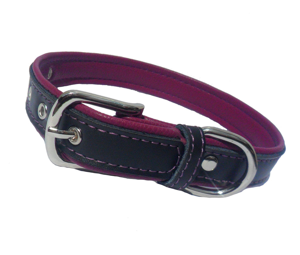 Collier pour Chien Berry