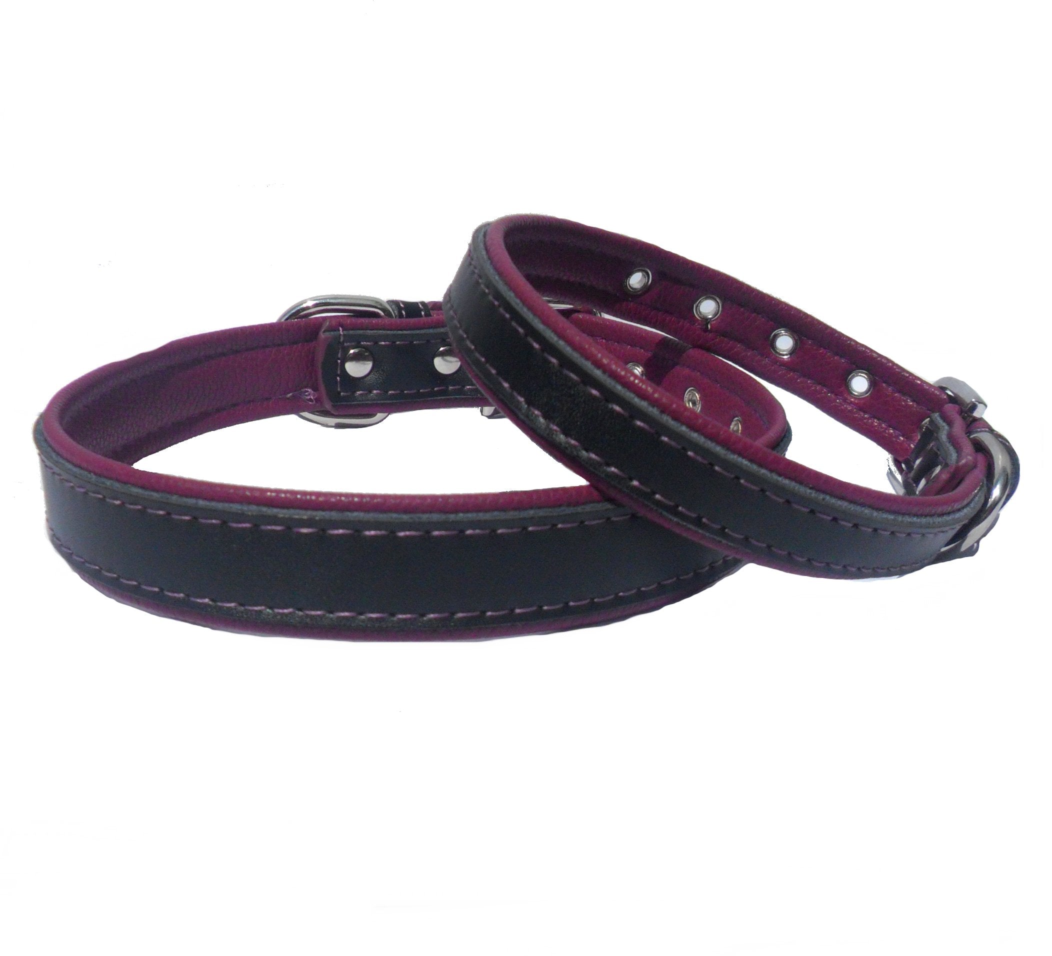 Collier pour Chien Berry