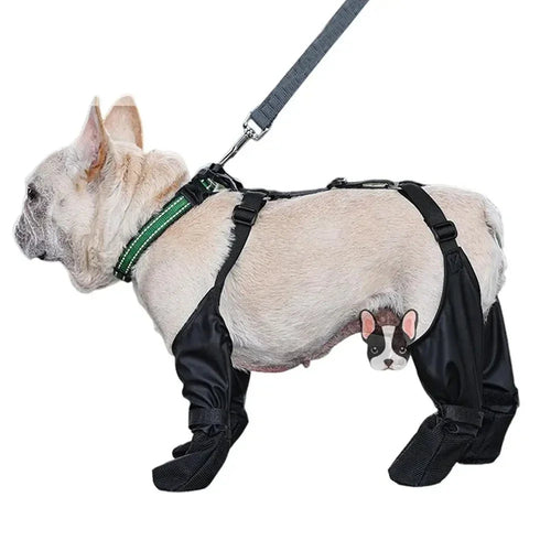Bottes imperméables ajustables pour chiens