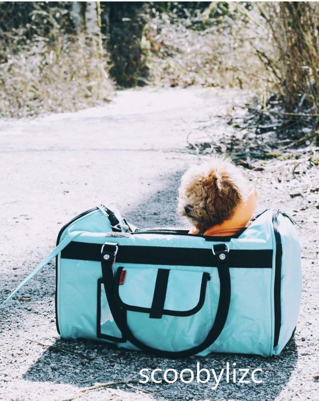 312 Hideaway™ Duffel - Animal Transport