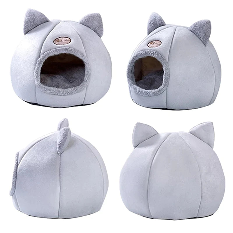 Lit Animal 2-en-1 Cozy