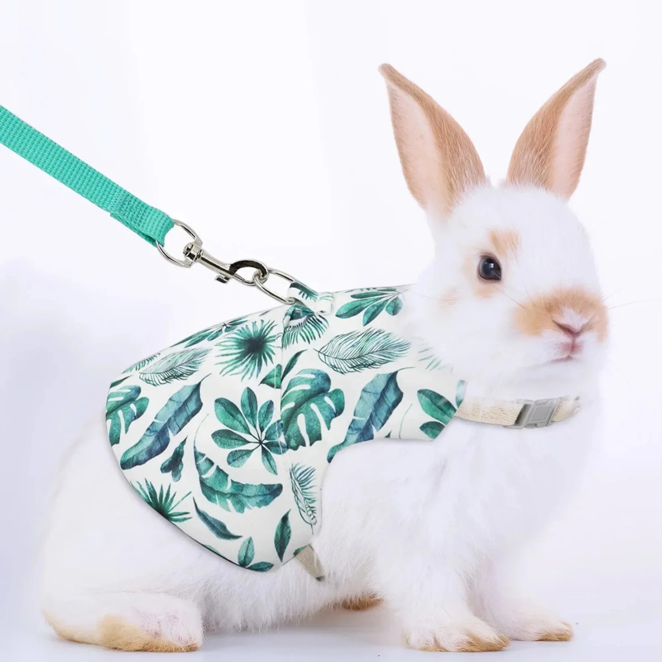 Harnais et Laisse Ajustables pour Lapin, Chat et Furets