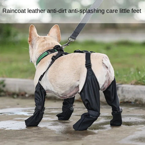 Bottes imperméables ajustables pour chiens