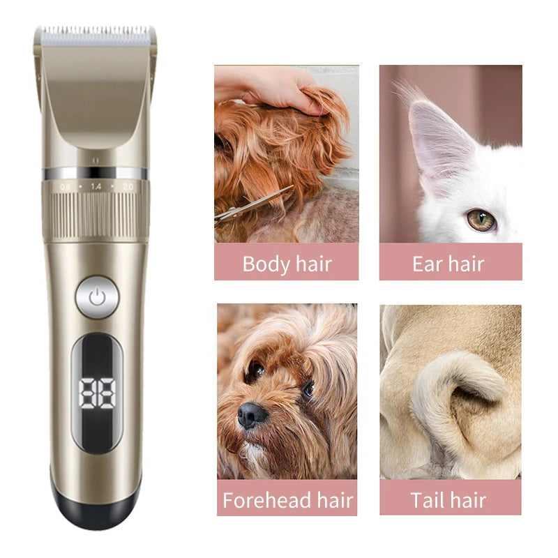 Tondeuse professionnelle pour chats et chiens, tout en métal, rechargeable.
