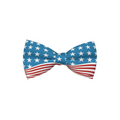 Nœud papillon pour chien Drapeau USA