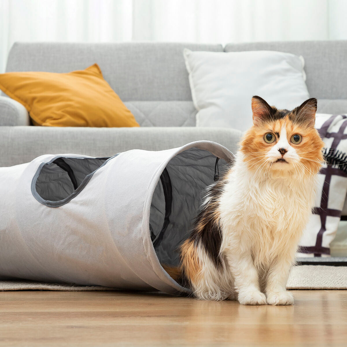 Tunnel Animaux Pliable Amusant