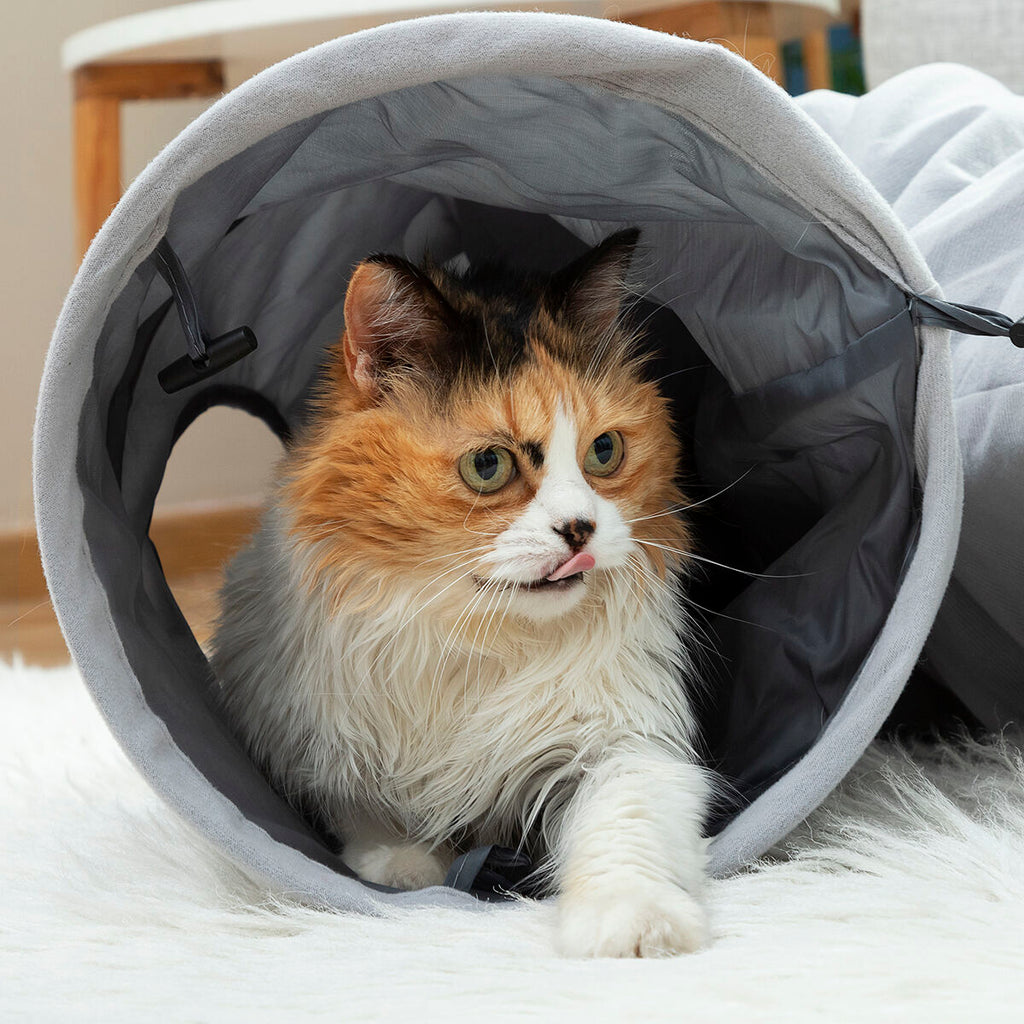 Tunnel Animaux Pliable Amusant