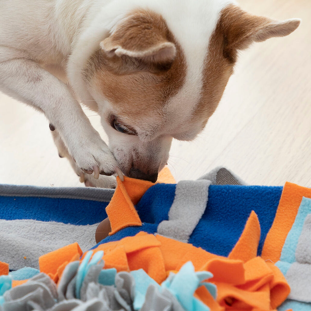 Tapis de reniflement pour animaux