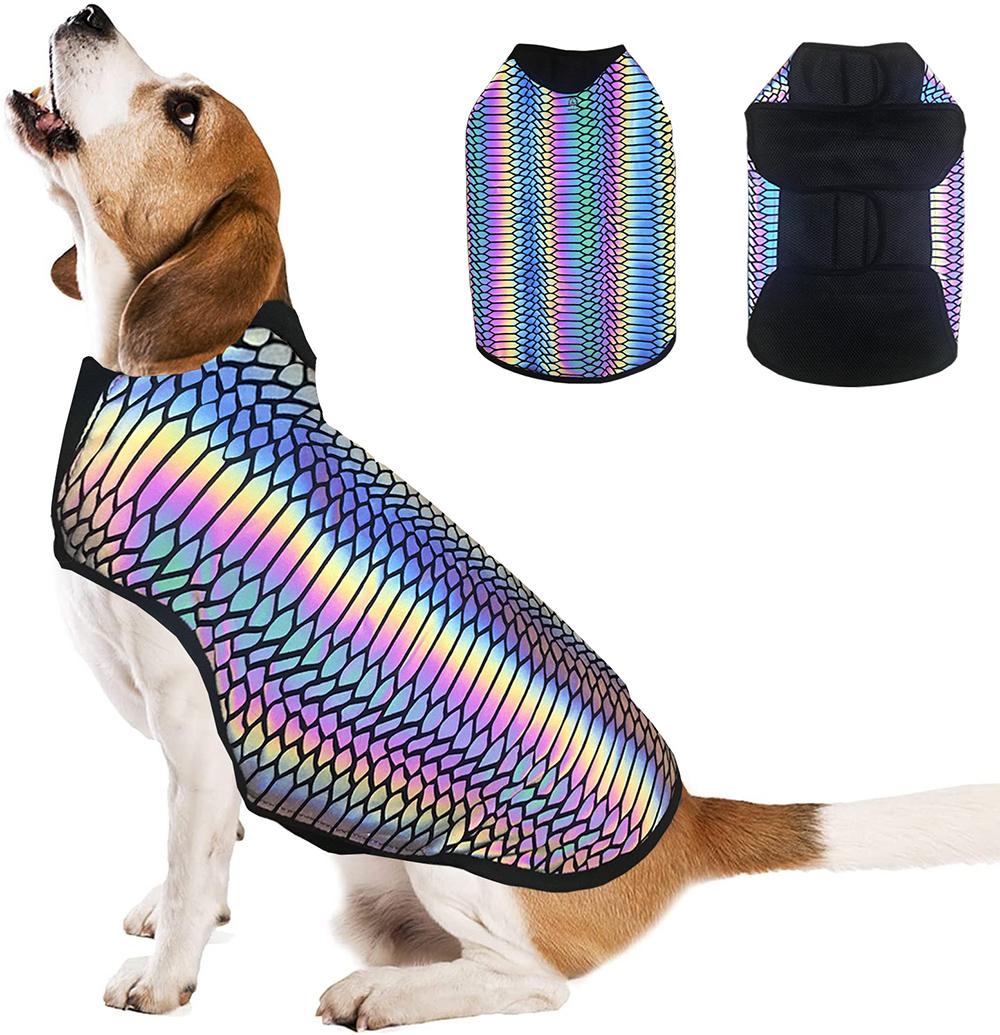 Gilet Holographique Lumination pour Chiens