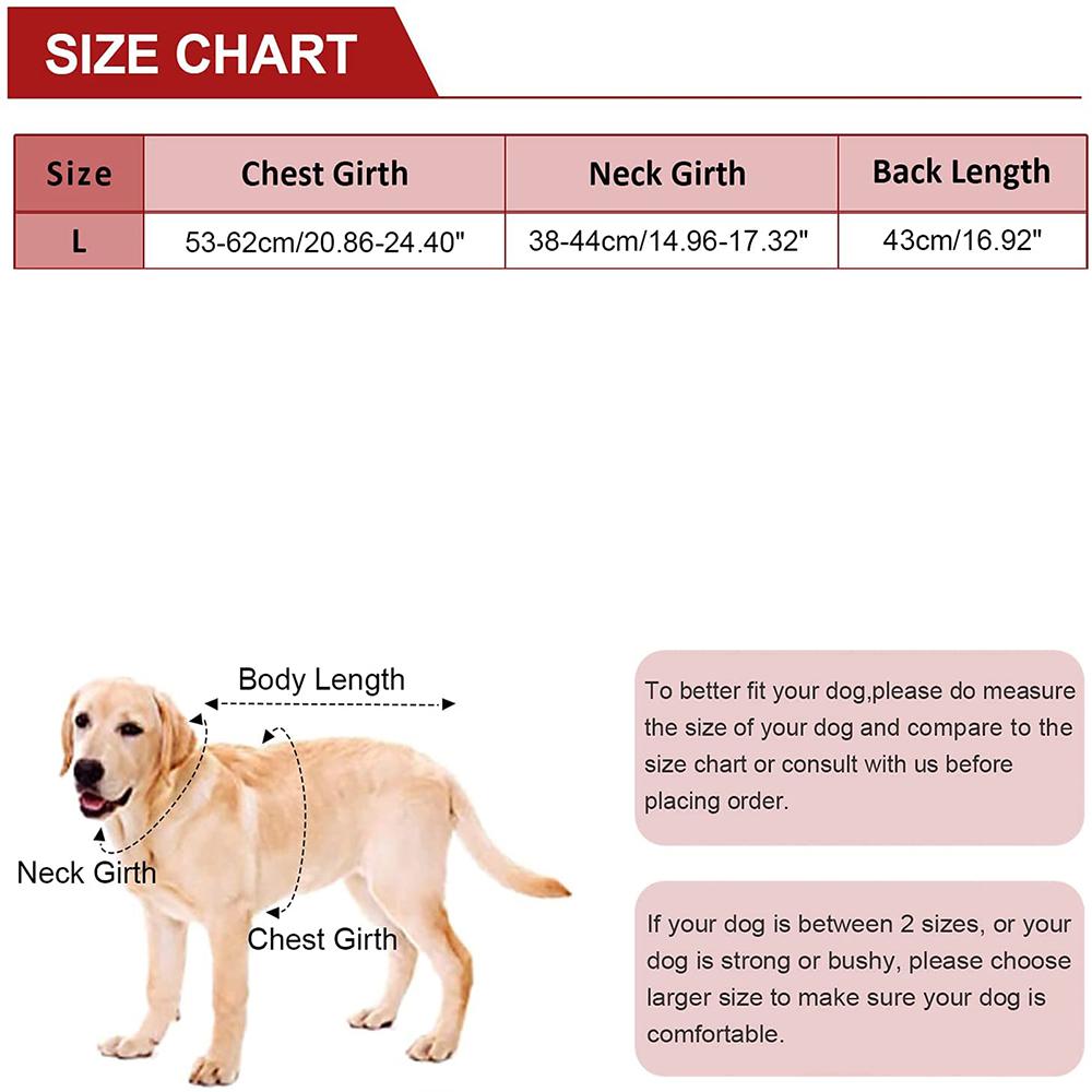 Gilet Holographique Lumination pour Chiens