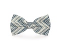 Nœud Papillon Zig Zag pour Chien