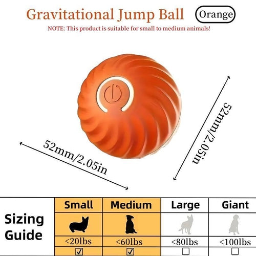 Balle rebondissante bleue et orange pour chats et animaux amusants