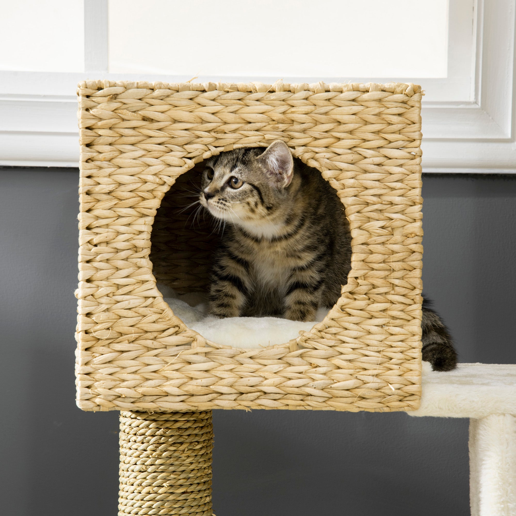 Arbre à Chats en Rattan : Confort et Sécurité pour Votre Félin