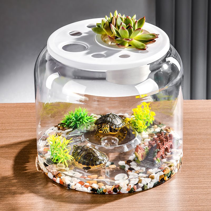 Réservoir à Poissons Écologique : Apportez Nature et Sérénité