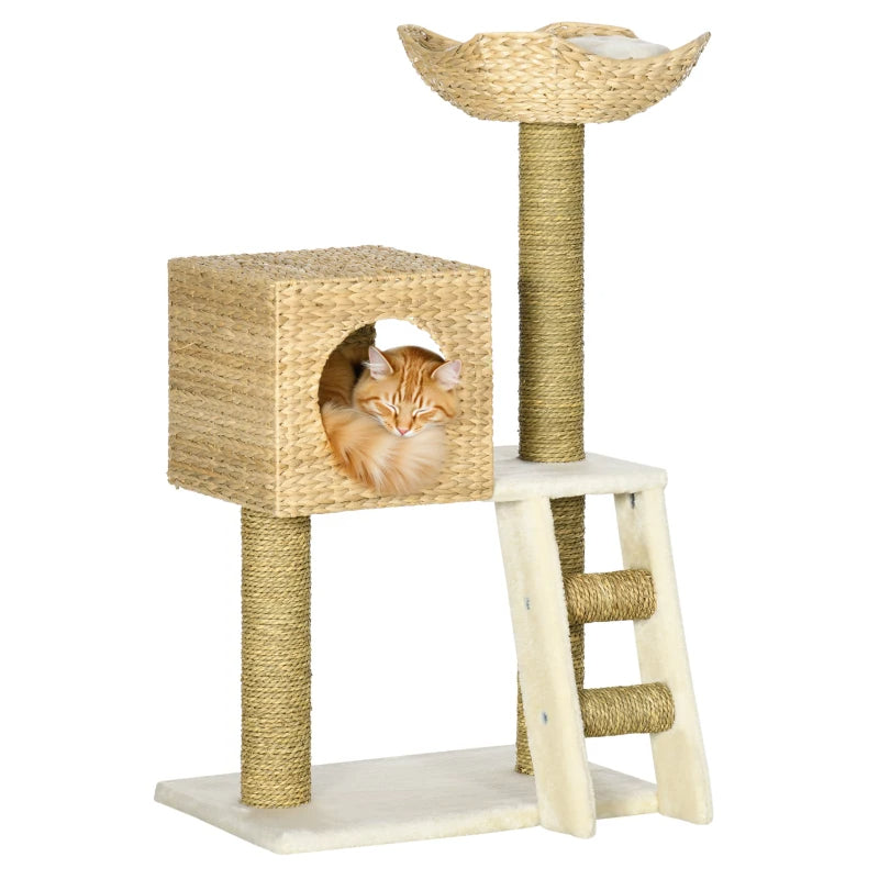 Arbre à chat PawHut en osier pour chats d'intérieur, tour pour chatons avec rotin