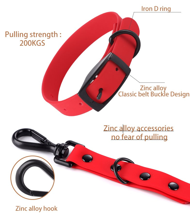 Collier et Laisse en Silicone pour Animaux