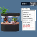 Mini Aquarium de Bureau Écologique