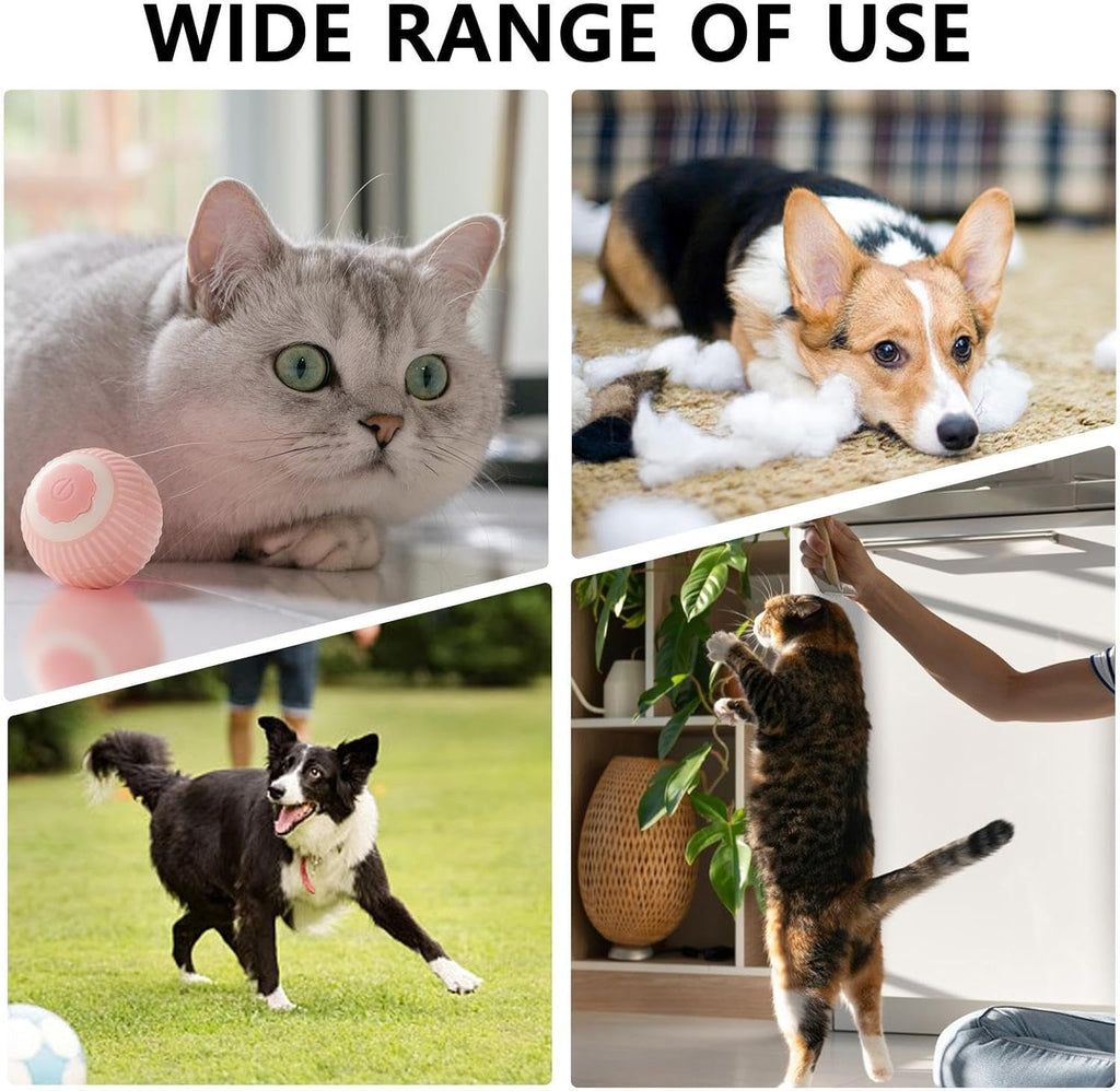 Interactif Rolling Chat Balle