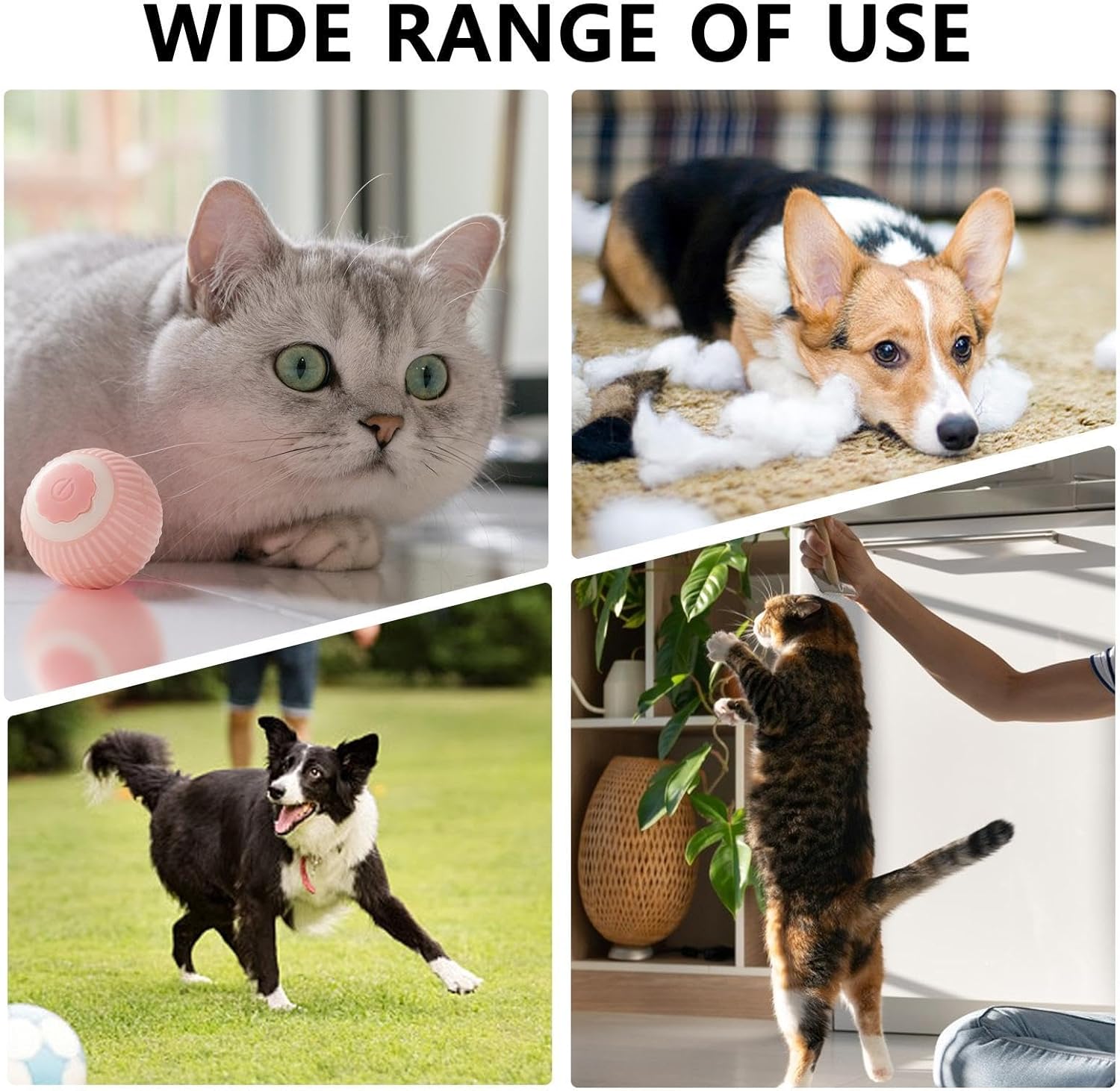 Interactif Rolling Chat Balle