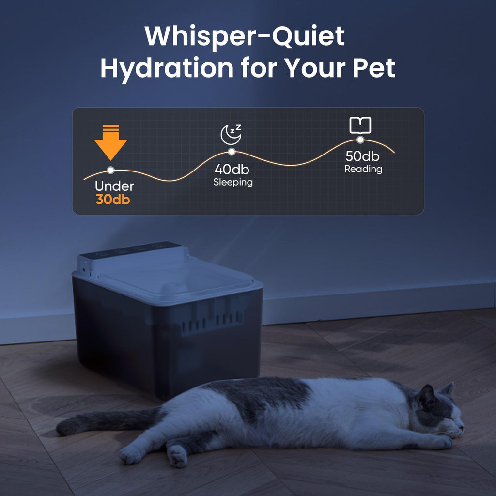 Fontaine à Eau Automatique Sans Fil pour Chats