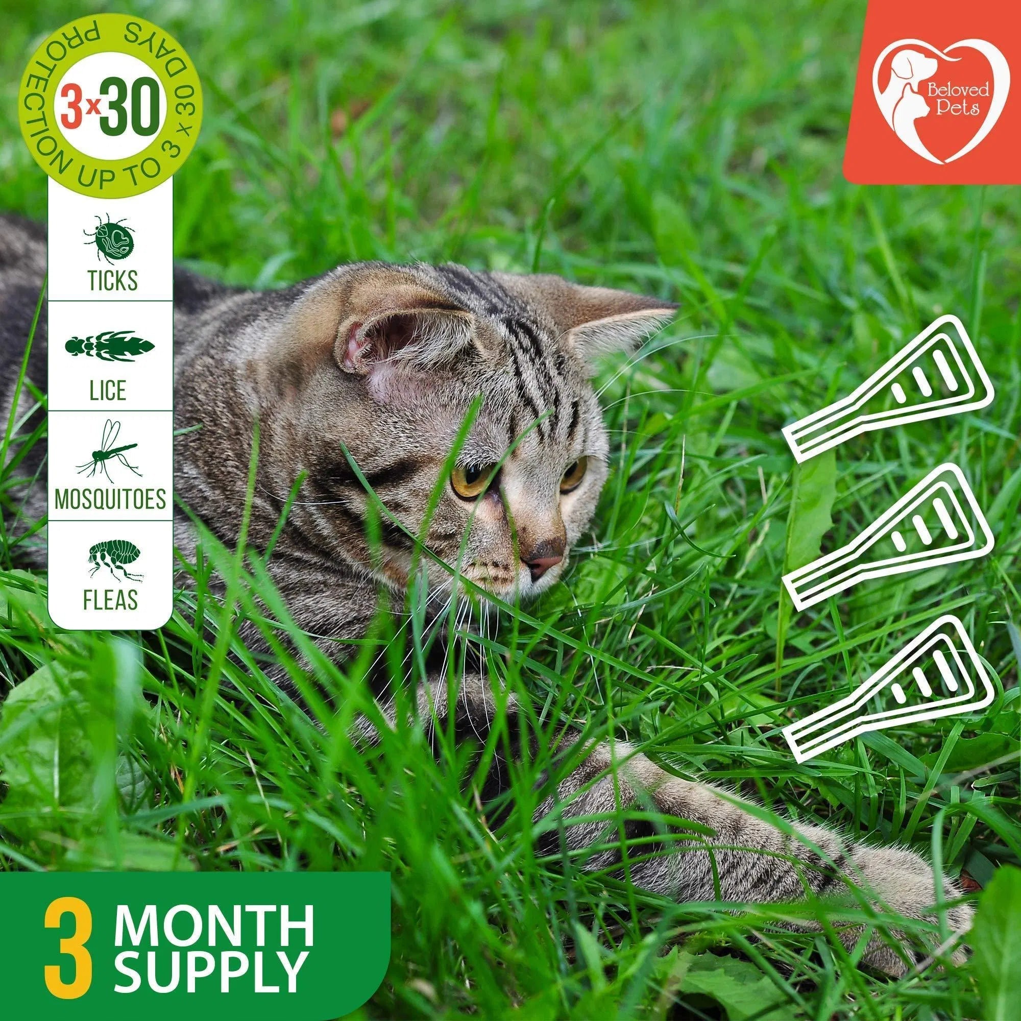 Prévention des puces et tiques pour chiens, chats et lapins - Traitement naturel contre les puces