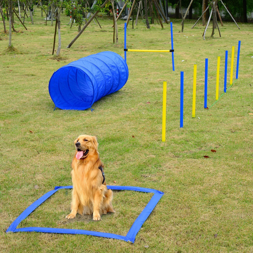 Kit d'Agilité pour Chiens - Améliorez l'Agilité de Votre Compagnon