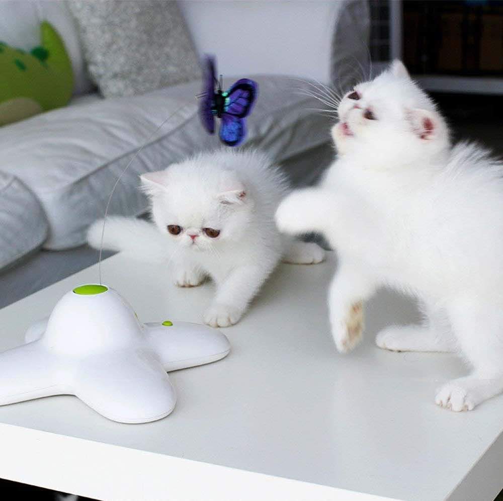 Flutter Bug Butterfly Chat Jouet - Interactif Teaser Animal Kitty Play -