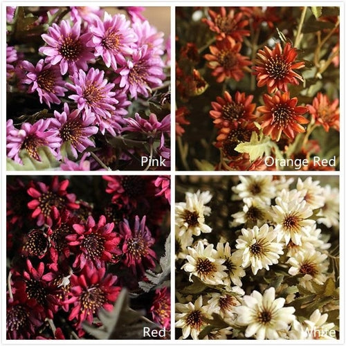 Tige de Chrysanthème en Soie Synthétique Colorée