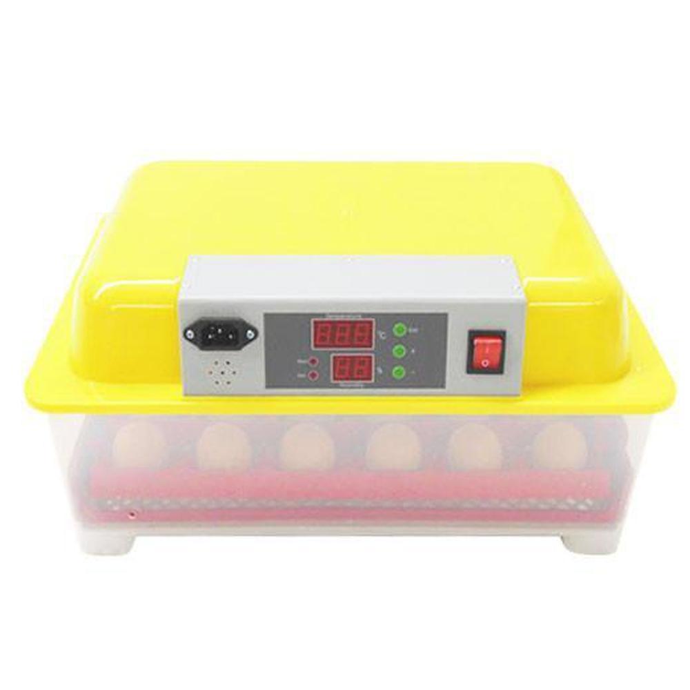 Incubateur électrique 24 œufs + accessoires pour poules Rooster Farms