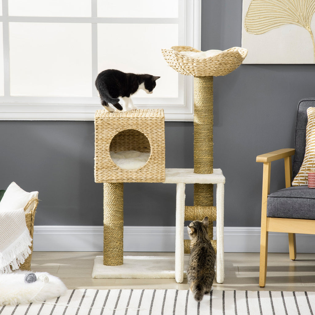 Arbre à Chats en Rattan : Confort et Sécurité pour Votre Félin