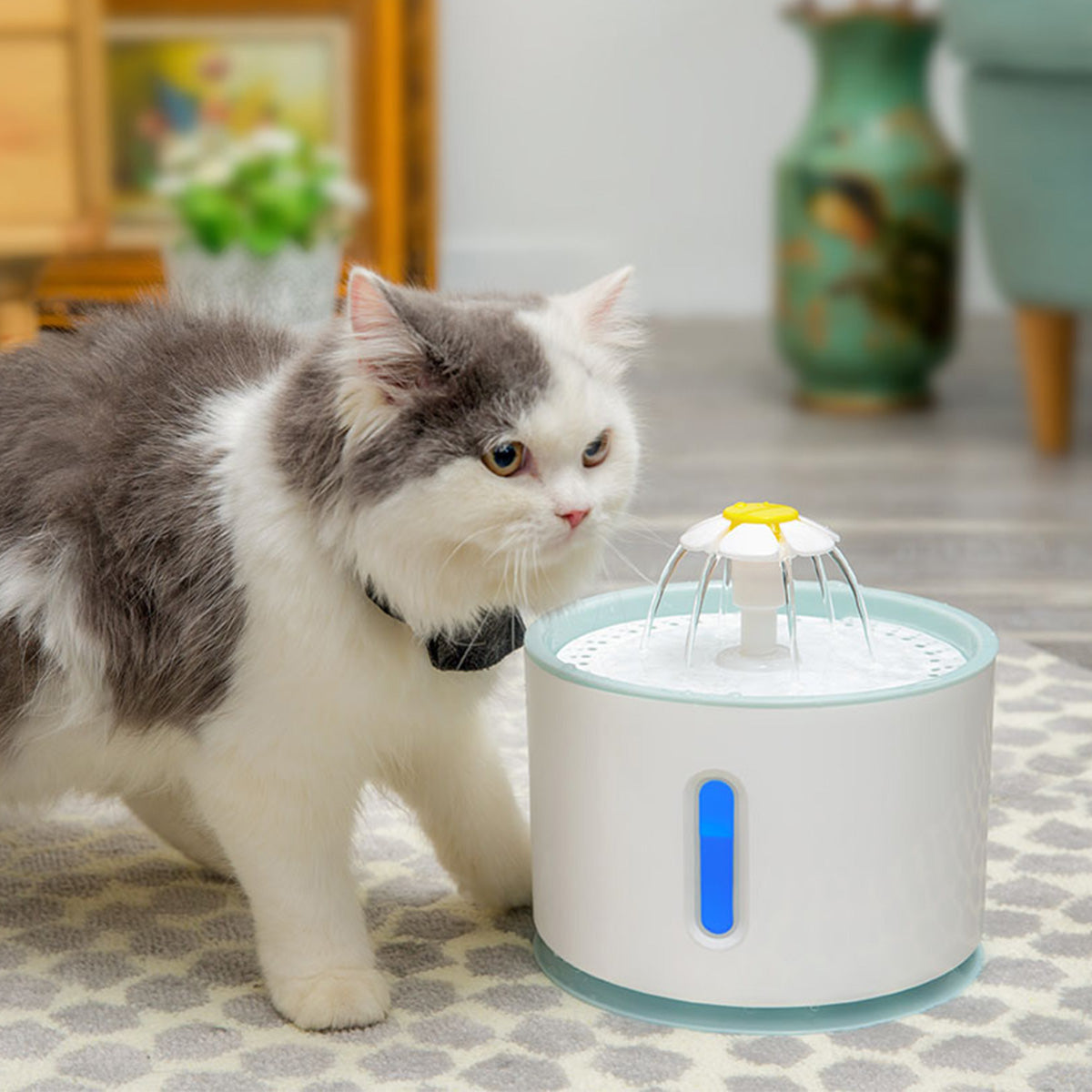 Fontaine à eau pour animaux avec réservoir remplaçable