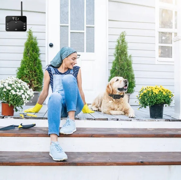 Clôture électrique sans fil : sécurité et liberté pour votre chien