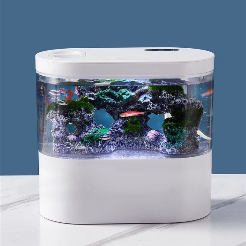 Mini Aquarium de Bureau Écologique