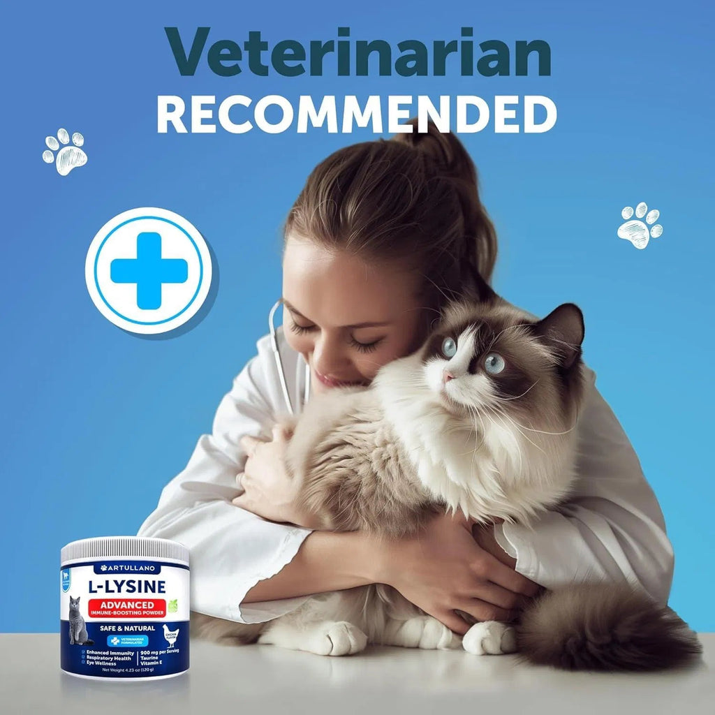 Ne pas vendre sur Amazon L-Lysine pour chats Poudre de supplément de lysine